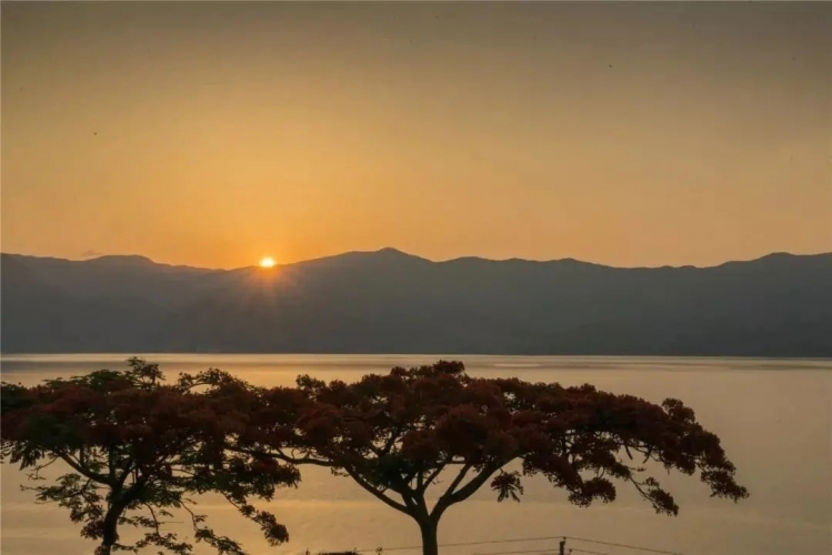 来丽江吧！游走在青山绿水间，遇见生物多样性之美