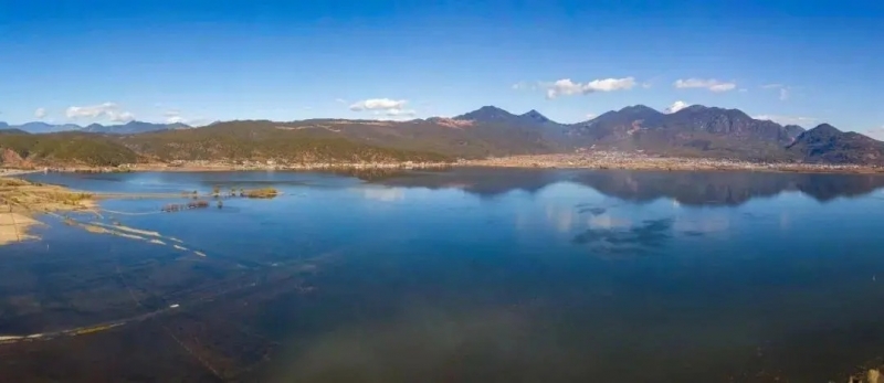 来丽江吧！游走在青山绿水间，遇见生物多样性之美