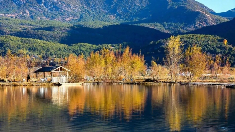 来丽江吧！游走在青山绿水间，遇见生物多样性之美