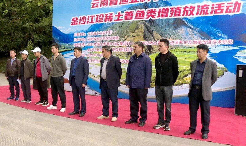 投放13万尾珍稀土著鱼！玉龙县石鼓江段举行鱼类增殖放流活动