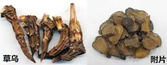 预防乌头类中药材中毒，云南人省卫健委发布最新预警公告！