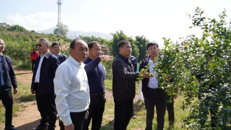 农工党中央领导到永胜调研软籽石榴产业