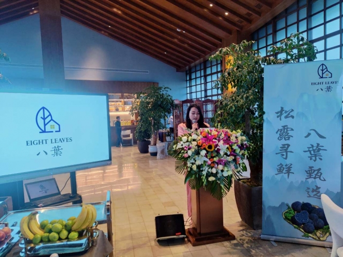 黑松露发布会在丽江举行，推动松露产业可持续发展 (1).jpg