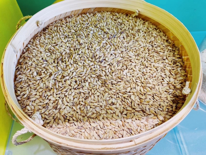 放心吃！丽江这家“菜篮子”便民店 把新鲜食材从田间直供到你的餐桌 (2).jpg