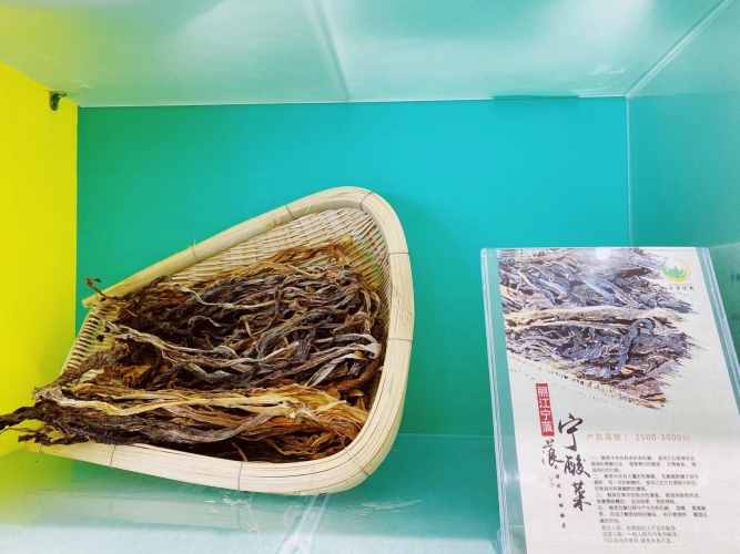 放心吃！丽江这家“菜篮子”便民店 把新鲜食材从田间直供到你的餐桌 (6).jpg