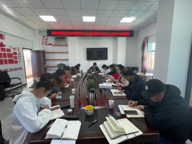 共青团丽江市委传达学习党的十九届六中全会精神