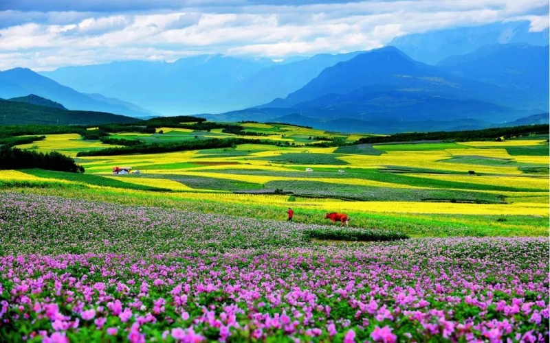 展现丽江的秀丽壮美 纪检监察特色文化走廊丽江展获好评