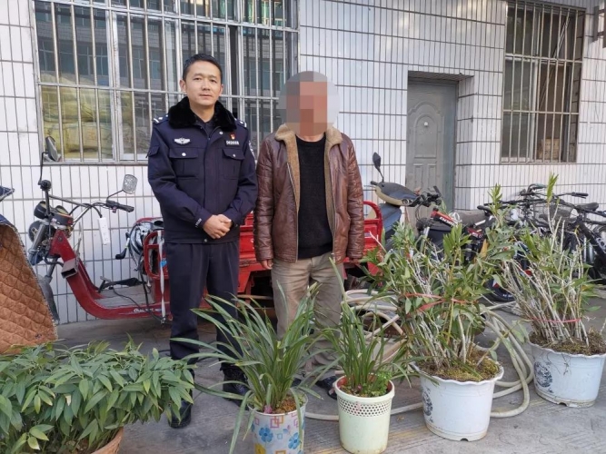 觉别人的盆栽好看，便想“拿”回家里去栽  民警迅速抓获“偷花贼”
