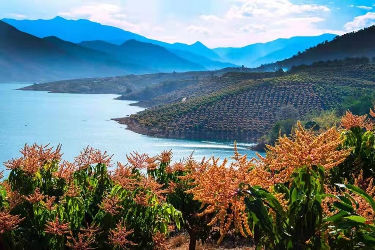 华坪县坚定不移走生态优先绿色发展之路 2021年成绩亮眼 (1).jpg