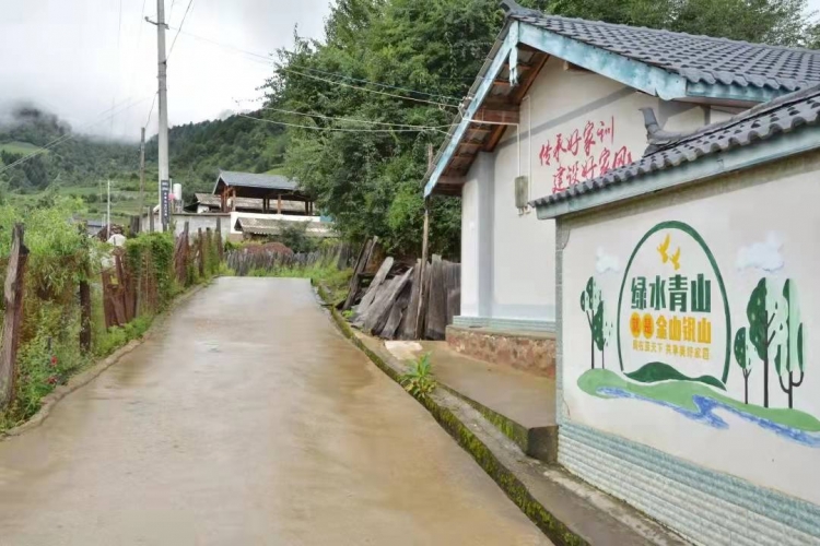 鲁甸乡：点面结合强化示范引领，助推乡村振兴