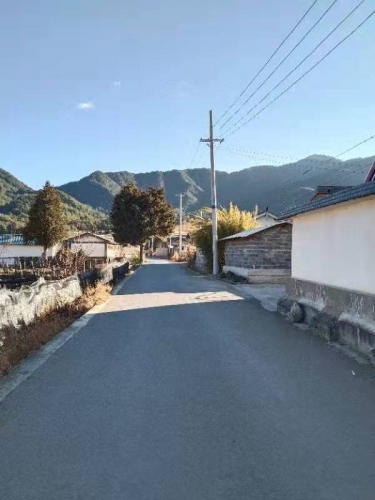 鲁甸乡：点面结合强化示范引领，助推乡村振兴