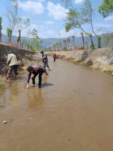 鲁甸乡：点面结合强化示范引领，助推乡村振兴