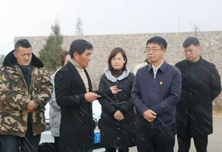 李自红到白沙、拉市等乡镇调研乡村振兴示范点（园）的建设情况