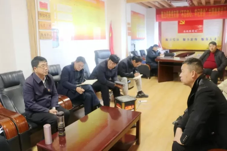 李自红到白沙、拉市等乡镇调研乡村振兴示范点（园）的建设情况