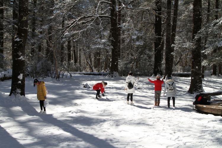 有调整！玉龙雪山三条索道将开启春节黄金周旅游接待工作 (1).jpg
