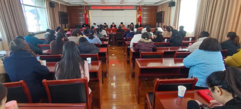 丽江市卫生健康系统妇联正式成立
