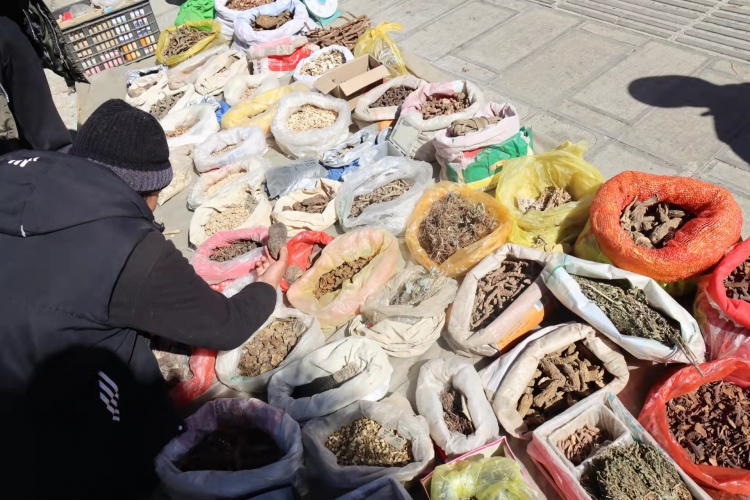 去逛棒棒会，探寻丽江今年最后的“年味”