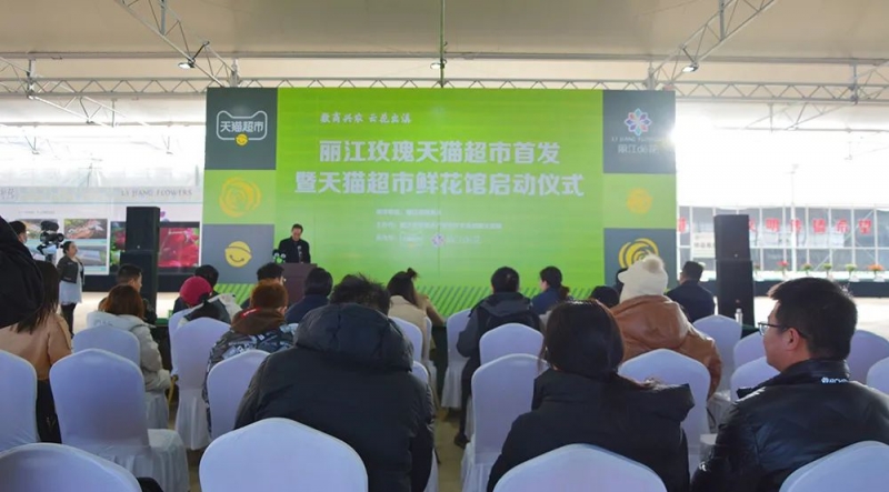 天猫超市专供基地！丽江鲜花搭乘“电商快车”销往全国各地