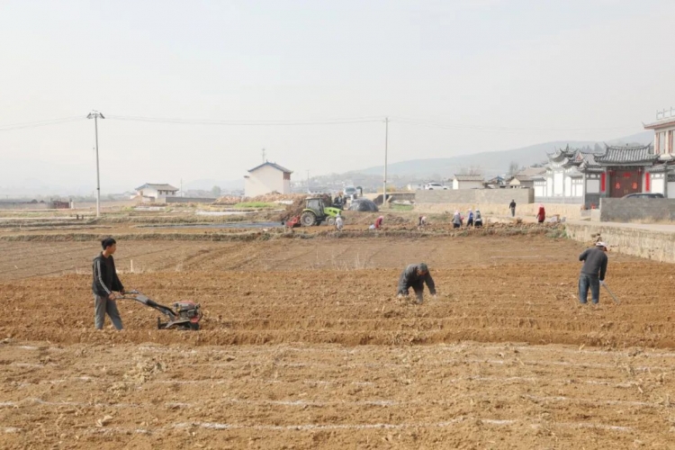 玉龙县推进现代烟草农业综合示范区建设