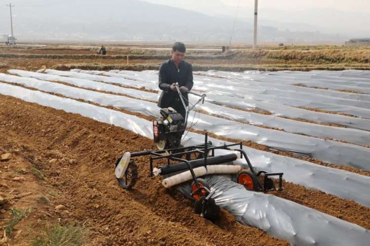 玉龙县推进现代烟草农业综合示范区建设