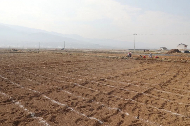 玉龙县推进现代烟草农业综合示范区建设