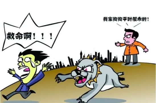 恶狗咬人 主人却拒付医药费  两百余元吵散邻里情.jpg