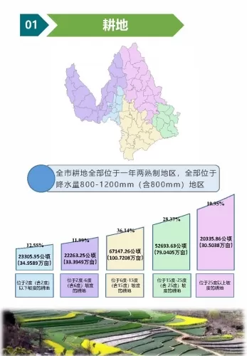 丽江市第三次全国国土调查主要数据图解