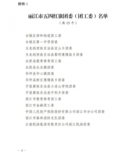 丽江30个集体70名个人获团市委表扬