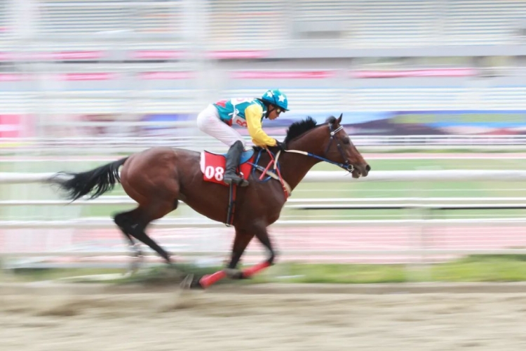 9月20日，这场体育盛会将在丽江开幕  会徽、吉祥物、主题歌、主题词是……