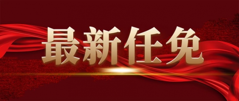 丽江市人民政府发布人事任免信息，涉及22人