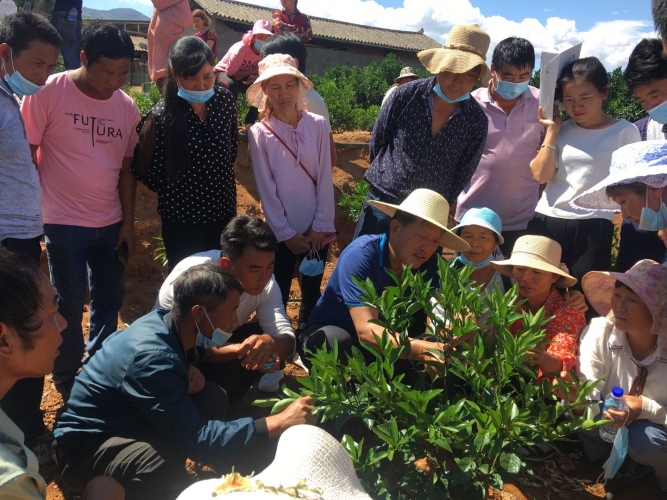 丽江：着力打造人才汇聚之地活力之城 (1).jpg