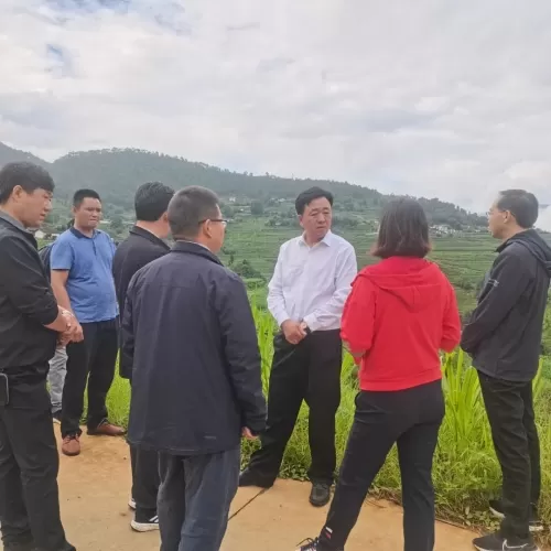 永胜县委书记和永宏到大安乡调研督导环保及产业工作