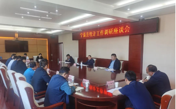 张伟调研宁蒗县统计工作