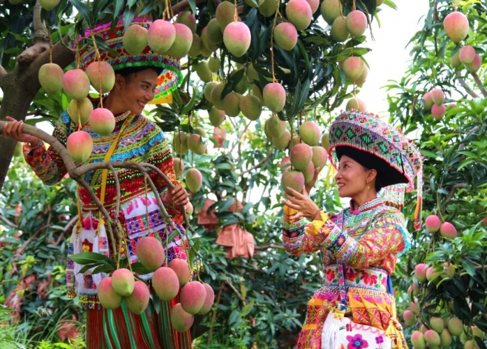 市两办印发三年行动方案 促进脱贫人口持续增收