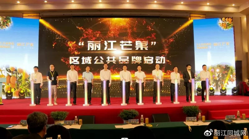 “丽江芒果”走出云南、走向全国、走向世界