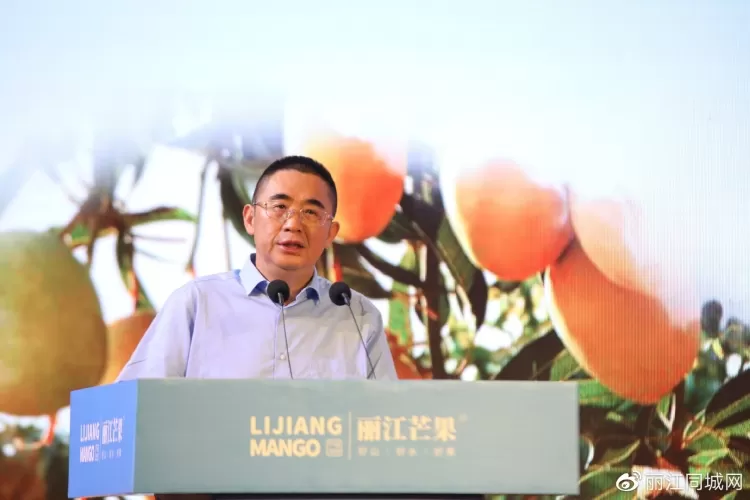 “丽江芒果”走出云南、走向全国、走向世界