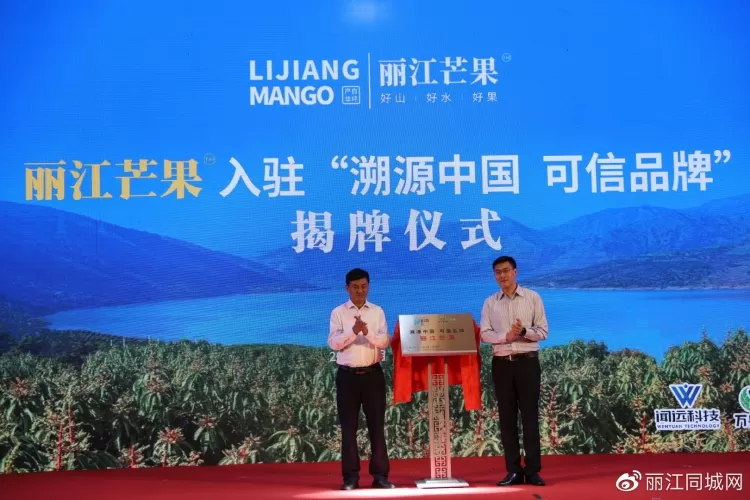 “丽江芒果”走出云南、走向全国、走向世界
