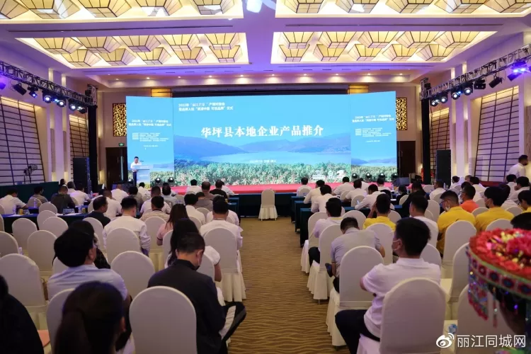 “丽江芒果”走出云南、走向全国、走向世界