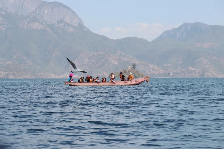 十年，品丽江新韵！