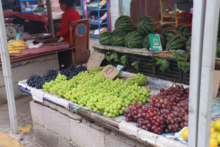 10元/斤 “葡萄刺客”阳光玫瑰降价至如此之低？