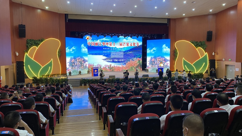 满城芒果香 丽江华坪第十三届芒果文化节正式开幕