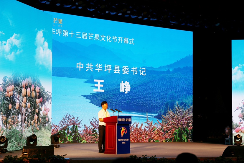 满城芒果香 丽江华坪第十三届芒果文化节正式开幕