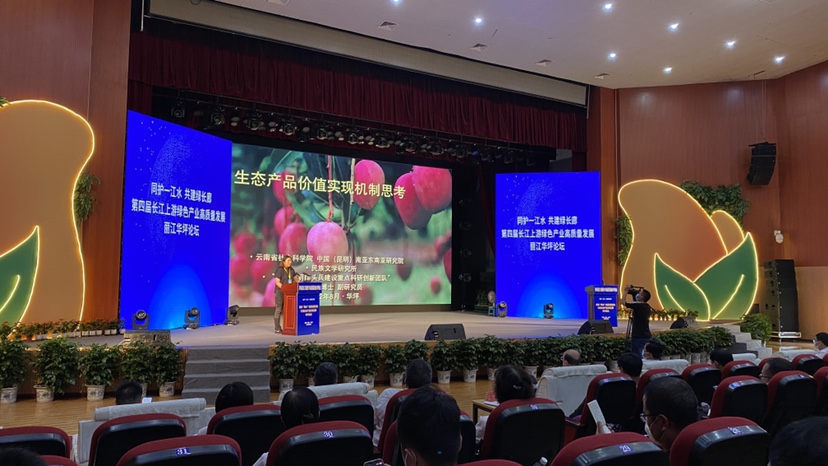 满城芒果香 丽江华坪第十三届芒果文化节正式开幕