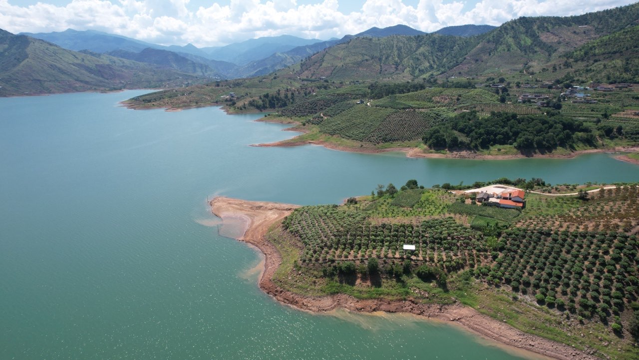 华坪芒果产业书写芒乡新篇章