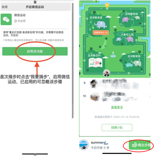 “99公益日”捐步福利 百万公益金助力亚洲象保护 (8).png