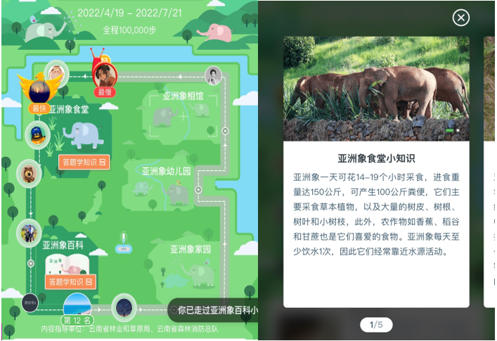 “99公益日”捐步福利 百万公益金助力亚洲象保护 (11).png