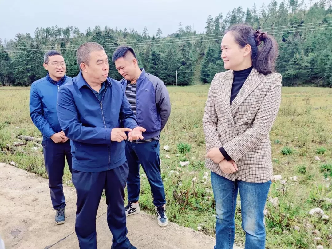 和秋珍到宝山、大具调研光伏复合项目建设情况