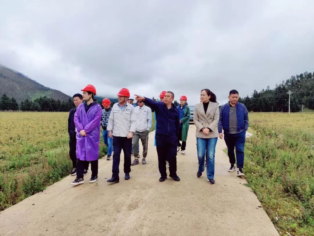 和秋珍到宝山、大具调研光伏复合项目建设情况