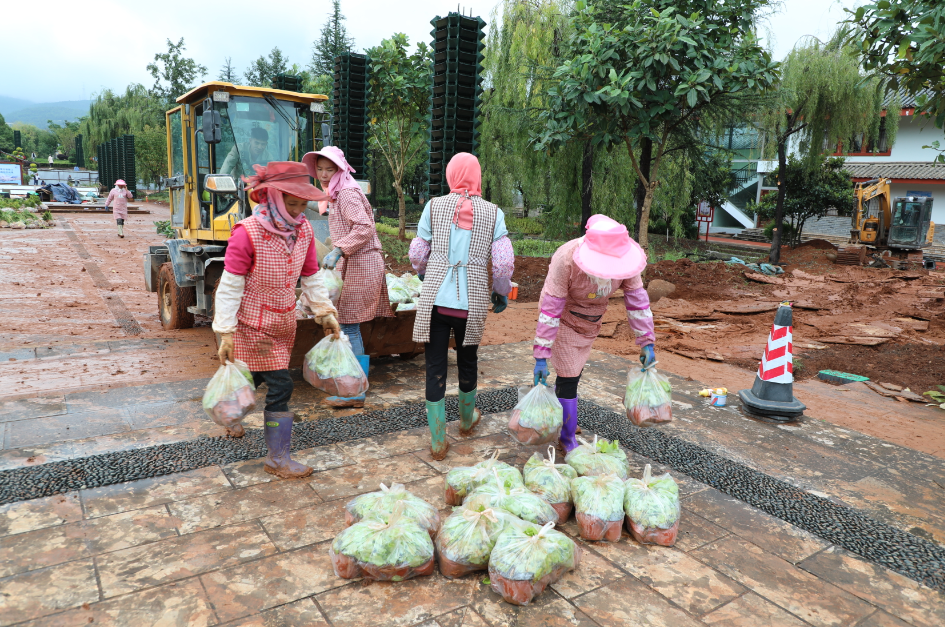 预计十月底完成改造！玉龙县世界记忆遗产公园提升改造工程正在加快推进