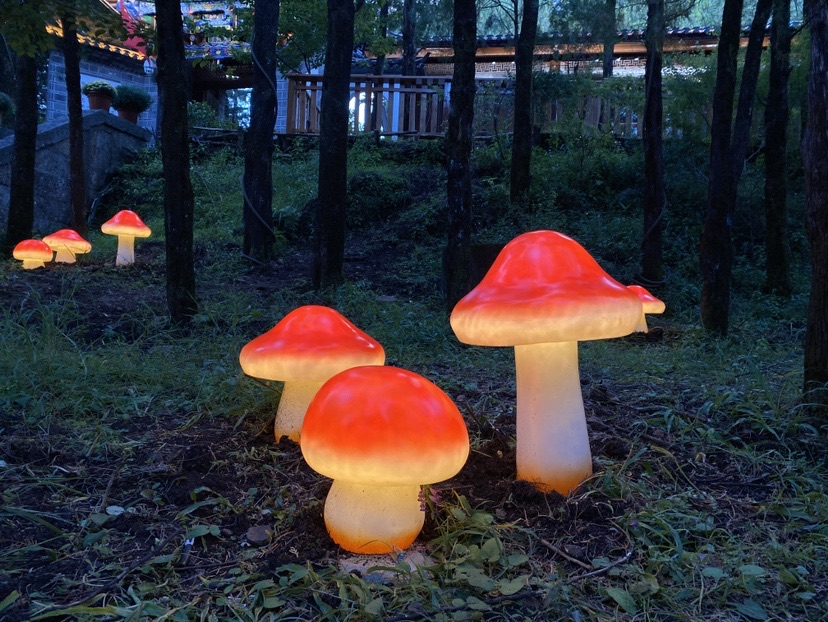 夜游安排！丽江古城狮子山越夜越精彩！ (1).JPG